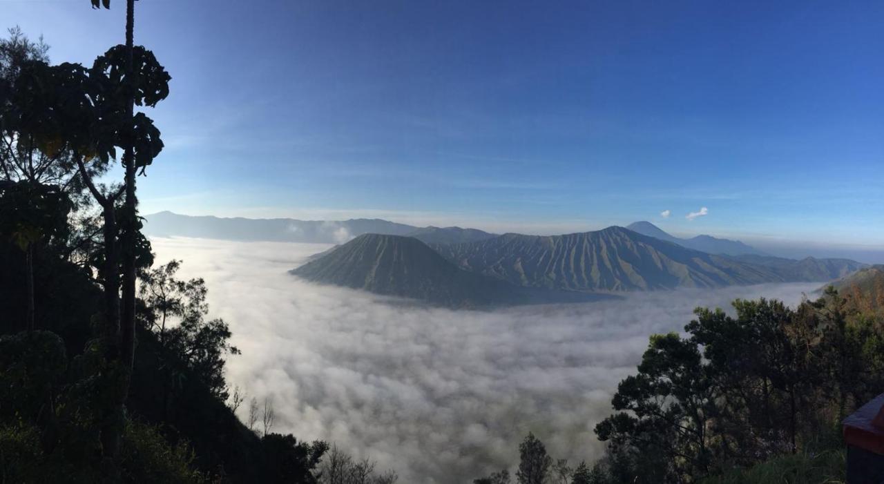 Bromo Tanjung Apartment Tosari ภายนอก รูปภาพ