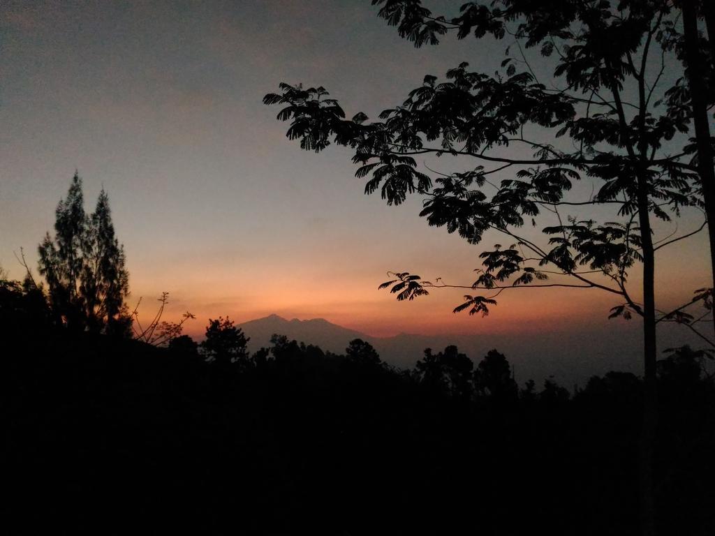 Bromo Tanjung Apartment Tosari ภายนอก รูปภาพ